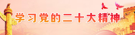 学习党的二十大精神